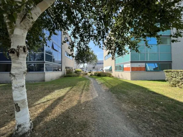 Zandpad tussen kantoorgebouwen in Leidse Rijn met bomen en gras aan beide zijden.